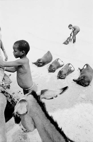 BURKINA FASO. Tin Akoff. 6/03/1985: Filling guerbas with water at a pond close to the malian border.