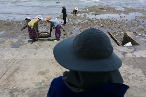 CAMBODIA. Kep (Kep). 12/05/2012: Crab market on a windy day.