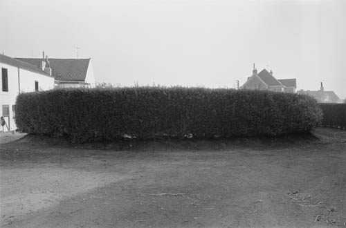 BELGIUM. Groenendael (Vlaams Brabant). 28/09/1972: Race horse training ground.