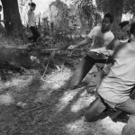 CAMBODIA. Taveang Leu (Ratanakkiri). 19/02/2013: Indigenous Brao pulling a buffalo sacrificed for a relative hospitalised in Phnom Penh out of the fire. The community is under threat of being displaced to make way for the reservoir of the Sesan3 dam.