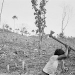 MEXICO. Maya Tecum. 26/06/1988: Guatemalan refugees clearing forest to grow corn.