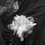 CAMBODIA. Phnom Penh. 22/11/2013: Lotus flower petals which will be strewn by monks on supporters demonstrating for the release of Yorm Bopha, land rights activist, appearing at the Supreme Court for her last appeal.