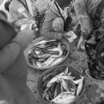 CAMBODIA. Stung Treng (Stung Treng). 1/03/2013: Vendors selling fish on the wharf to the ferry crossing the Mekong. The construction of hydroelectric dams on the Mekong and its tributaries will profoundly affect the fish stocks available to the population.