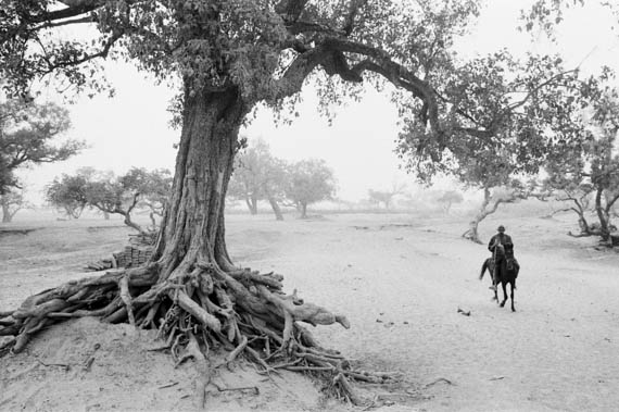 BURKINA FASO. Gorom Gorom. 05/03/1985: Soil erosion by sudden downpour during rainy season.