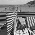 BELGIUM. Westende (West Vlaanderen). 5/08/2012: Horse on beach at seaside resort.