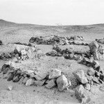 MALI. Tarhara. 9/02/1987: Tombs of four men who died digging a well.
