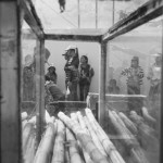 CAMBODIA. Phnom Penh 13/03/2014: Sugar cane juice sold to workers at the E.Z. International Garment Factory on a strike to protest the non observance of labour laws by the management.