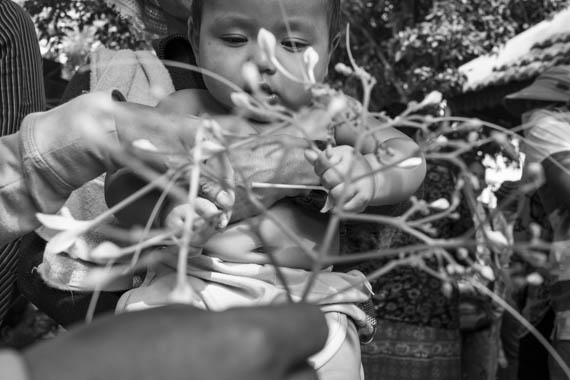 CAMBODIA. Phnom Penh 2/04/2014: Baby from a member of one of several communities who were evicted or are being threatened of being evicted, plays with flowers while gathered in front of City Hall to ask for a resolution of their issues.